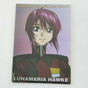 Gundam SEED DESTINY CARDDASS MASTERS3 HR2mei Lynn * Hawk 