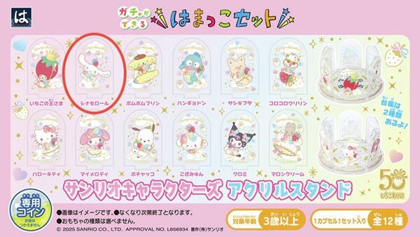 はまっこセット サンリオキャラクターズ アクリルスタンド「シナモロール」