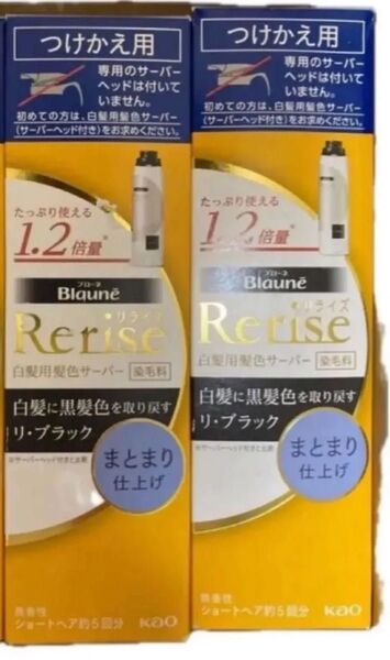 新品 花王 Rerise リライズ 白髪用 白髪染めサーバーヘッド つけかえ用 サーバー ブラック 黒 ヘアカラー まとまり仕上げ