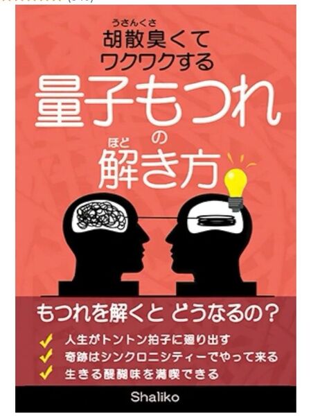 胡散臭くてワクワクする量子もつれの解き方 shaliko/ペーパーバック版