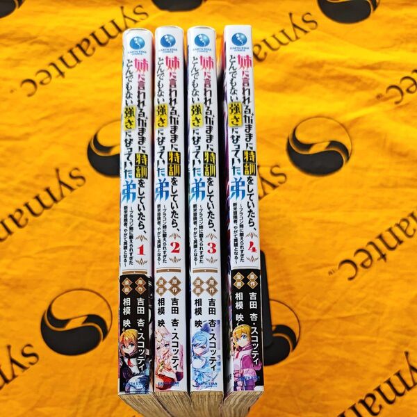 姉に言われるがままに特訓をしていたら、とんでもない強さになっていた弟 ブラコン姉に鍛えられすぎた新米冒険者、やがて英雄となる1−4