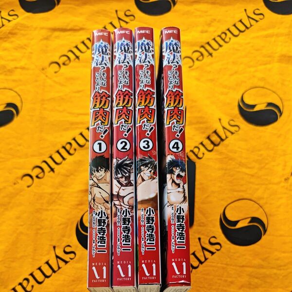 魔法?そんなことより筋肉だ! 全4巻(MFC) 小野寺浩二/著 どらねこ/原作 レルシー/キャラクター原案