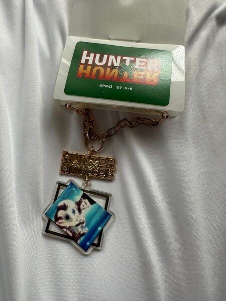 HUNTER HUNTER アクリルキーホルダー ゴン ゴンさん化