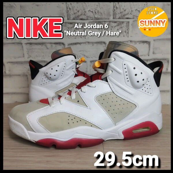Nike Air Jordan 6 "Neutral Grey / Hare"