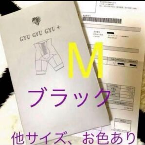 モンステラ ギュギュギュプラス gyugyugyu+ Mブラック
