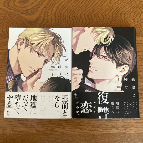 絶望に啼け 上下巻セット 紫能了