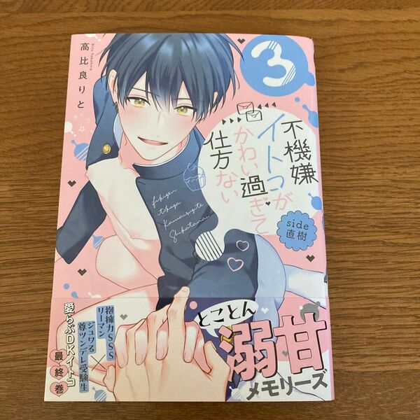 不機嫌イトコがかわい過ぎて仕方ないside直樹3 高比良りと