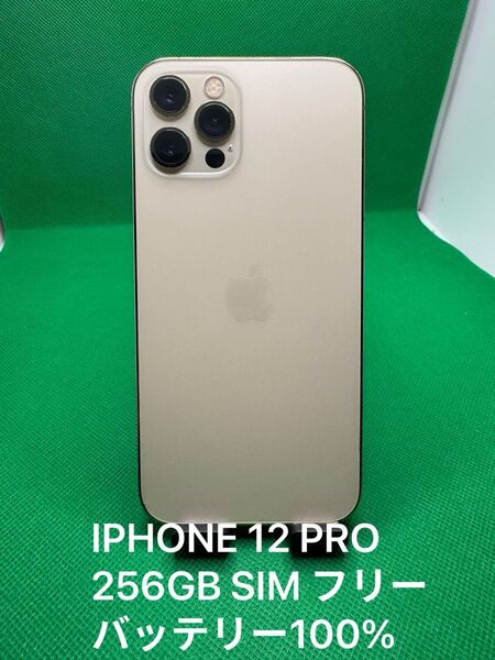 8915 IPHONE 12 PRO 256GB SIM フリー