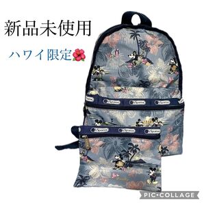 【新品未使用】レスポートサック ディズニーコラボ ハワイ限定 リュックサック