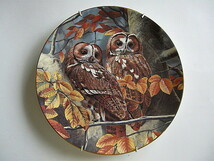 ■英国王室御用達・ROYAL DOULTON/ロイアル・ドルトンの絵皿【モリフクロウ】■A.RIGBY画■TAWNY OWLS BRITISHI OWLS■梟_画像5