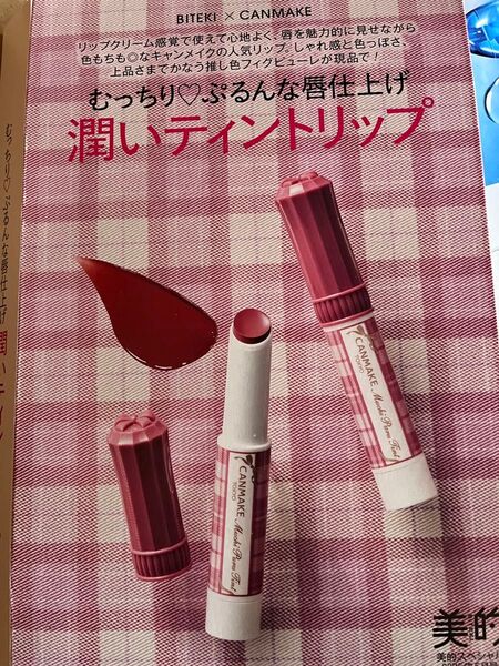 キャンメイク★むちぷるティント★リップ★ルージュ