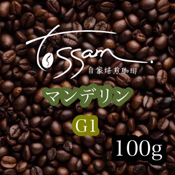 自家焙煎 珈琲豆 100g マンデリン G1 インドネシア