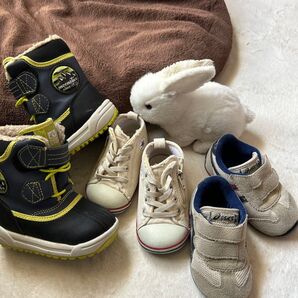 ベビーシューズ 3個セット MOONSTAR CONVERSE asics