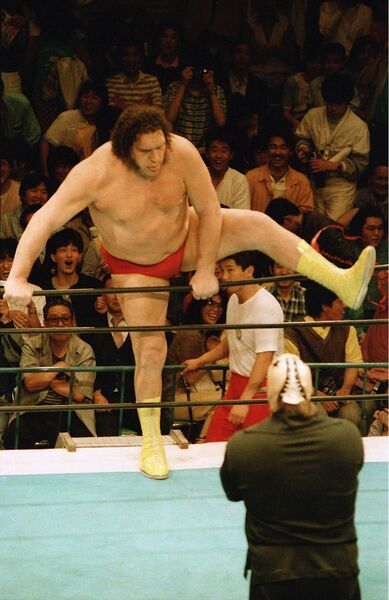 プロレス生写真 アンドレ・ザ・ジャイアントvs マスクドスーパースター 12枚1組