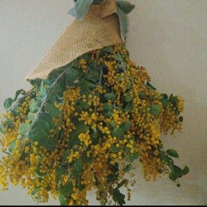 ミモザ スワッグ ドライフラワー 大きめ