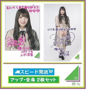 ◇ 上村莉菜 ◇ 欅坂46 ◇ ローソン スピードくじ フォトカード アップ・全身 ２枚 セット ◇ 【送料無料】