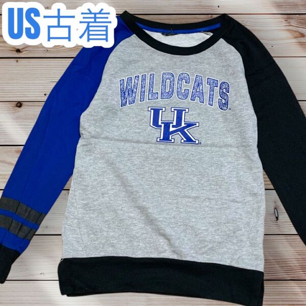 US古着 WILDCATS 長袖 トレーナー スウェット 薄手 マルチカラー y2k 平成