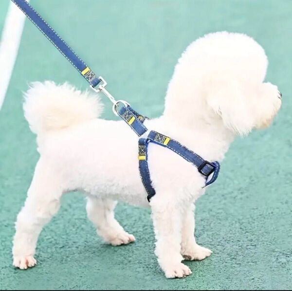 ハーネスリード セット デニム風 青 M 中型犬 犬 ペット 新品未使用
