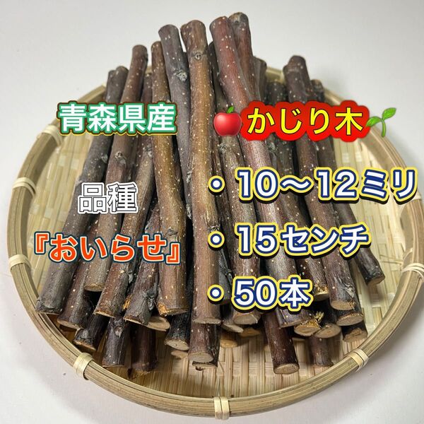 青森県産りんごの木 かじり木50本