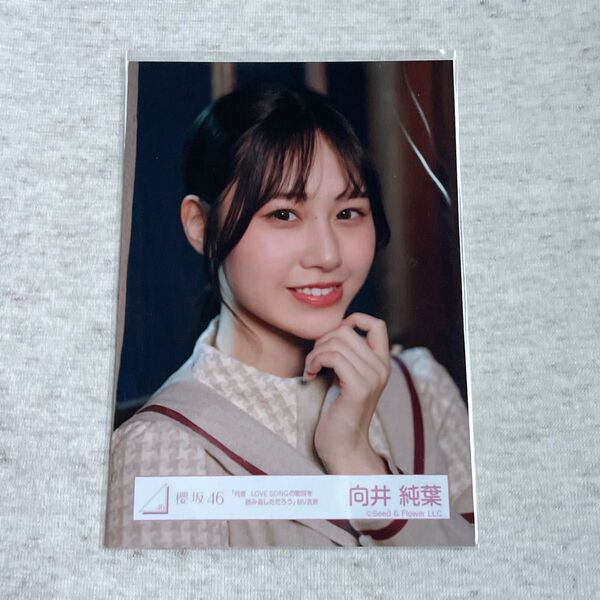 櫻坂46 生写真 向井純葉「何度LOVE SONGの歌詞を読み返しただろう」MV衣装 何ラブ ヨリ 生写真 櫻坂46