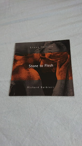 Steve Jansen AND Richard Barbieri 「STONE TO FLESH」 JAPAN、PORCUPINE TREE関連