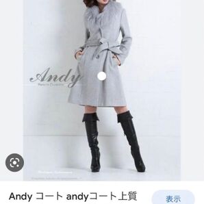 Andyコート Aライン