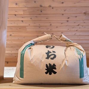 農家直売 ヒノヒカリ 令和6年 奈良県産 玄米 10kg