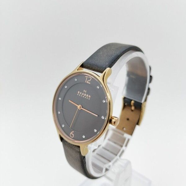SKAGEN スカーゲン SKW2267 腕時計 アナログ ブラウン