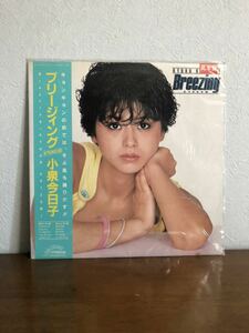 Kyoko Koizumi Record Breaking Victor Victor Music Collection