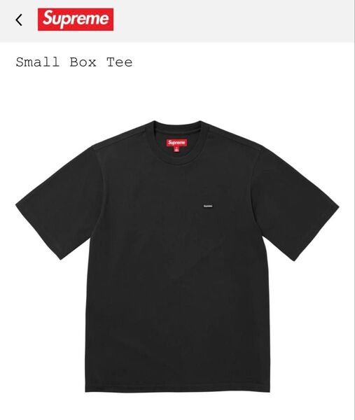 【新品・未使用】Supreme シュプリーム Small Box Tee / L
