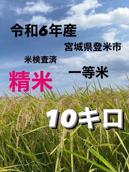 令和6年産 精米 10キロ ひとめぼれ 一等米 宮城県登米市中田町