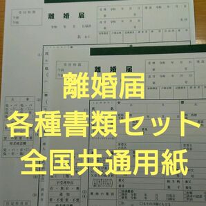 離婚届2部 記入方法見本 法令用紙 全国共通用紙 a72