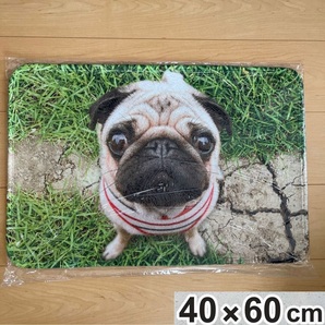 新品!未開封 40×60 可愛い犬 玄関マット キッチンマット 裏に滑り止め有り