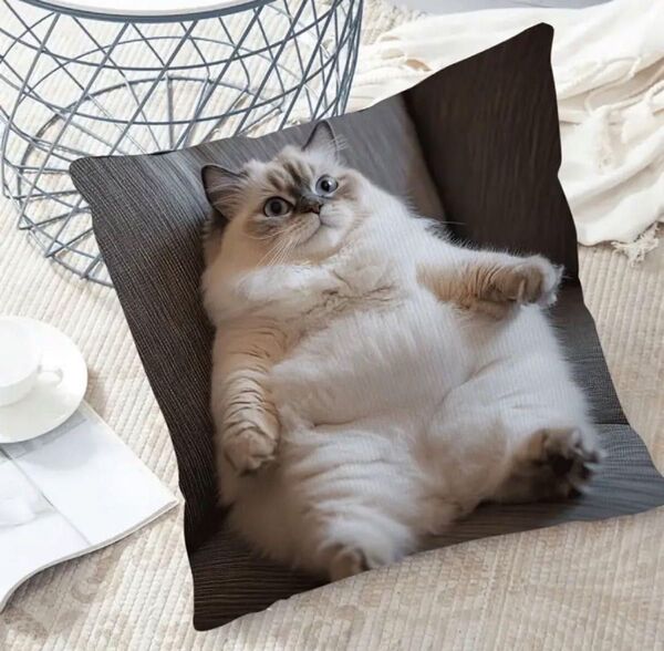 クッションカバー ヒマラヤン猫 おっさん座り C ネコ 可愛い インテリア a