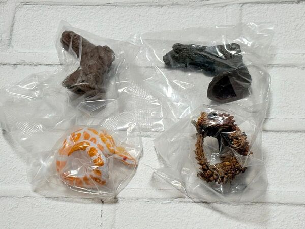 いきもの大図鑑 指まきコレクション アルマジロトカゲとボールパイソン