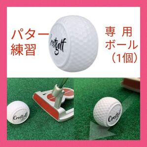 パター練習専用ボール★パタートレーニング球★アプローチ練習に★パッティング練習