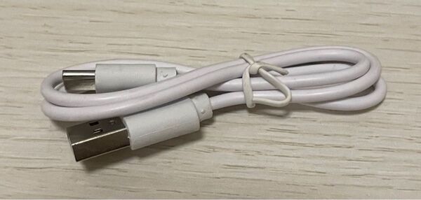 USB Type-C ホワイト