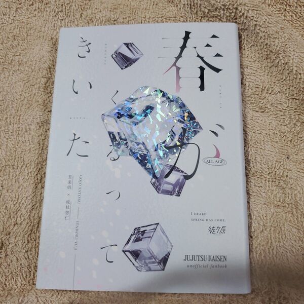 呪術廻戦 同人誌 小説