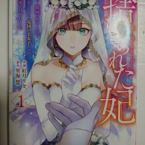 「捨てられた妃 めでたく離縁が成立したので出ていったら、竜国の王太子からの溺愛が待」1巻