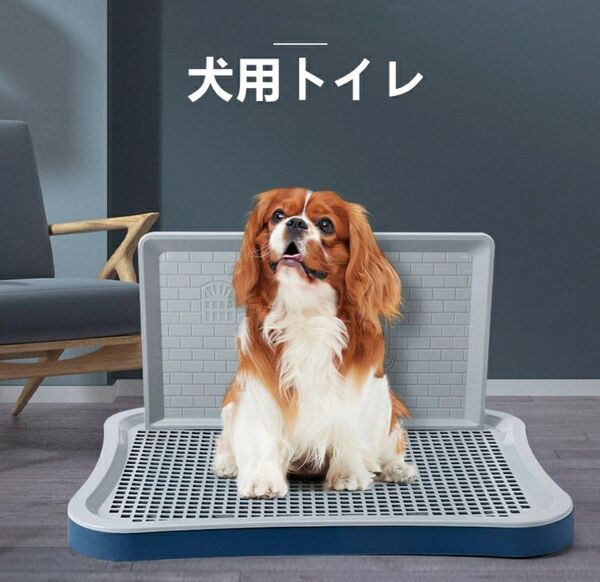 犬 トレーニング トイレ容器 トイレ 壁付きトイレトレー しつけ用 足上げ
