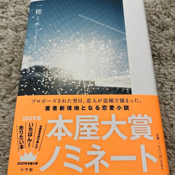 【美品】本屋大賞2025 恋とか愛とかやさしさなら 一穂ミチ/著