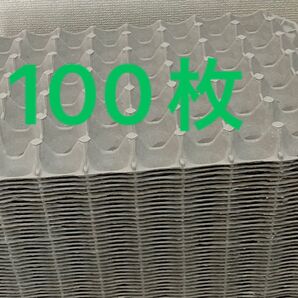 卵トレー紙モールド昆虫マット100枚