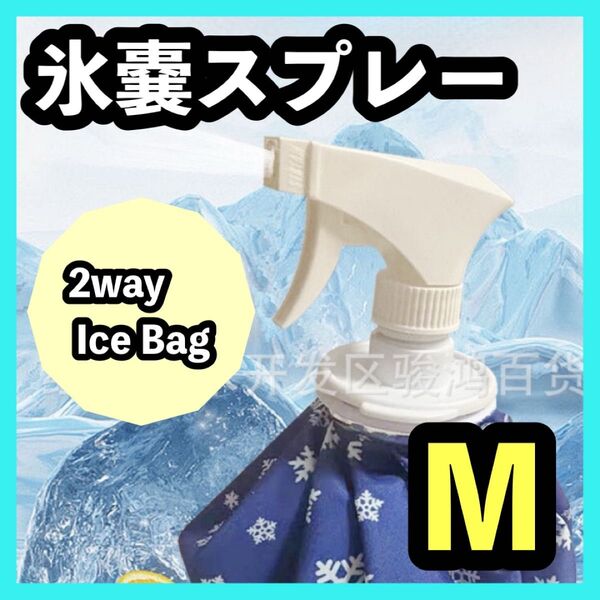 氷嚢 スプレー アイスバッグ 氷のう 熱中症 ゴルフ スポーツ 発熱 部活 アイシング 保冷剤 氷
