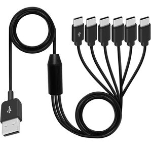 Type C ケーブル、 USB C 分岐 6 In 1 USB Type C ケーブル 3A 急速充電