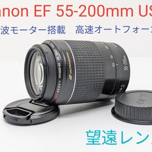 4月23日限定特価♪Canon EF 55-200mm USM
