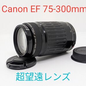 5月15日限定超お得♪【超望遠レンズ】Canon EF 75-300mm