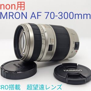 5月3日限定【Canon用】TAMRON AF 70-300mm MACRO