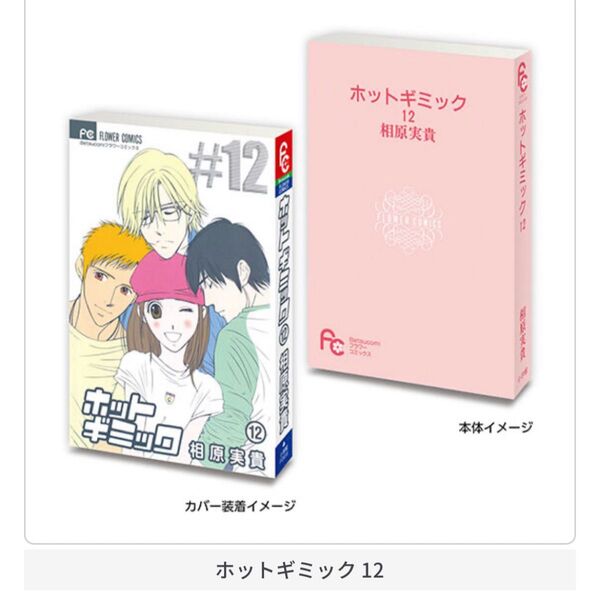フラワーコミックス 豆ガシャ本 ホットギミック12