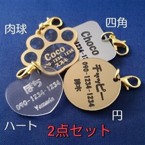 ペットネームプレート2点セット ネームタグ 軽量 アクリル 名札 迷子札