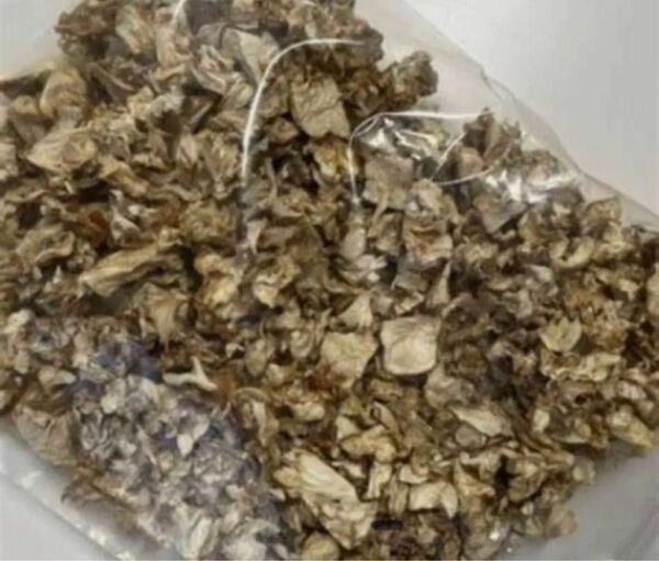 富山県産 乾燥はなびら茸 ハナビラタケ 50g
